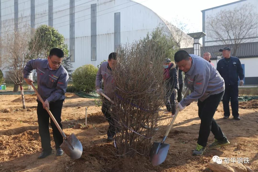 三月，植一抹新绿，共十里春风